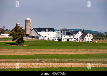 Fattoria Amish sul limpido soleggiata giornata estiva Foto Stock