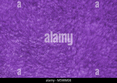 Viola shaggy pelle di un animale closeup texture, Fur Texture. Foto Stock