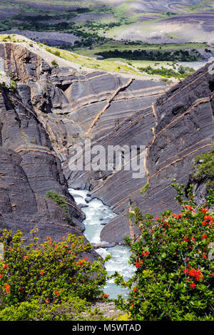 Rio Ascencia; Parco Nazionale Torres del Paine; Cile Foto Stock