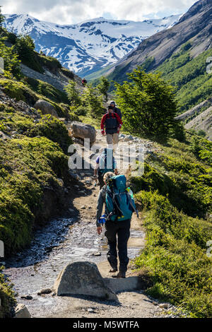 Trekking escursione nei pressi del Rio Ascencio; Parco Nazionale Torres del Paine; Cile Foto Stock
