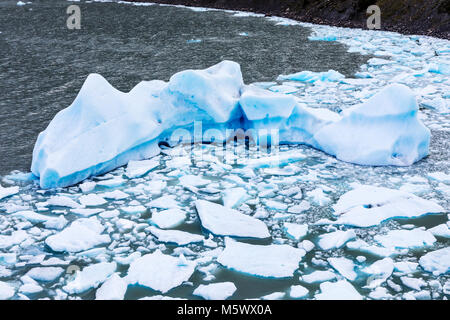 Iceburgs partorito da grigio Glaciar galleggiante nel Lago grigio; Parco Nazionale Torres del Paine; Cile Foto Stock