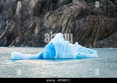 Iceburgs partorito da grigio Glaciar galleggiante nel Lago grigio; Parco Nazionale Torres del Paine; Cile Foto Stock