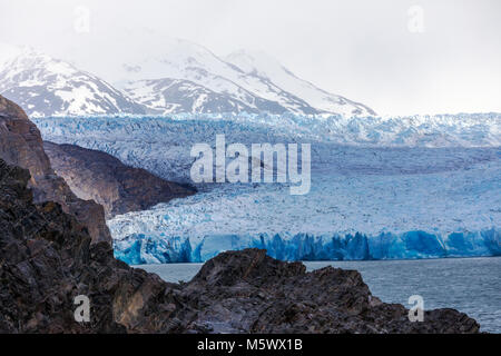 Robusto faccia del grigio Glaciar fonde e vitelli nel Lago grigio; Parco Nazionale Torres del Paine; Cile Foto Stock