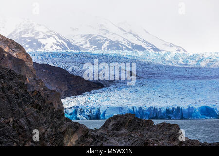 Robusto faccia del grigio Glaciar fonde e vitelli nel Lago grigio; Parco Nazionale Torres del Paine; Cile Foto Stock