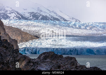 Robusto faccia del grigio Glaciar fonde e vitelli nel Lago grigio; Parco Nazionale Torres del Paine; Cile Foto Stock