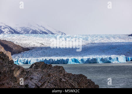 Robusto faccia del grigio Glaciar fonde e vitelli nel Lago grigio; Parco Nazionale Torres del Paine; Cile Foto Stock