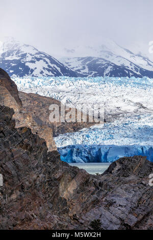 Robusto faccia del grigio Glaciar fonde e vitelli nel Lago grigio; Parco Nazionale Torres del Paine; Cile Foto Stock