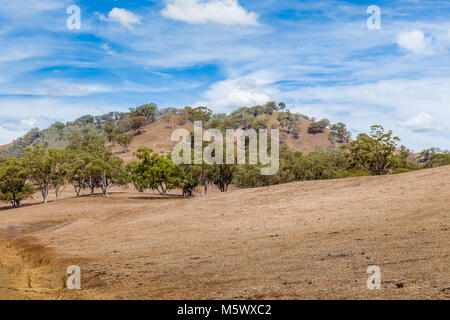 Terra colpite dalla siccità in alto la Hunter Valley, NSW, Australia. Foto Stock