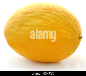 Brillante di melone Honeydew su sfondo bianco Foto Stock