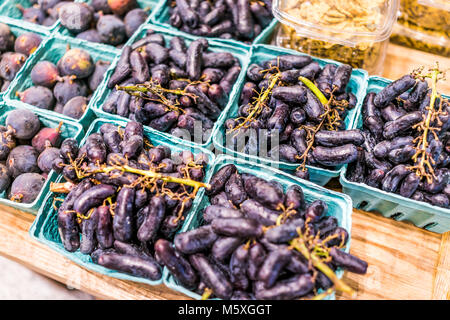 Primo piano di molti viola fresca succosa luna goccia moondrop uve in scatole sul display nel mercato degli agricoltori sul tavolo di legno da figure Foto Stock