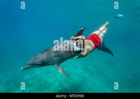 Freediver femmina con il tursiope o delfino maggiore (Tursiops truncatus), il Dolphin Center, captive, Moorea, Isole Sopravento Foto Stock