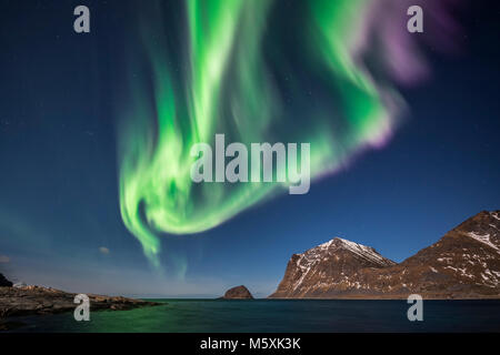 Luci del nord, Aurora Boreale, Haukland, Lofoten, Norvegia Foto Stock