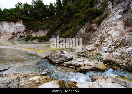 Paesaggio preistorico con molle geotermica, a Rotorua, Nuova Zelanda Foto Stock