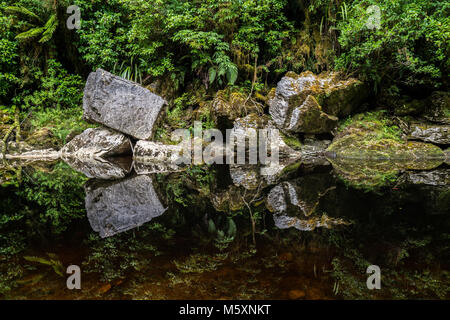 Riflessioni a specchio scuro fiume, Oparara bacino, Nuova Zelanda Foto Stock