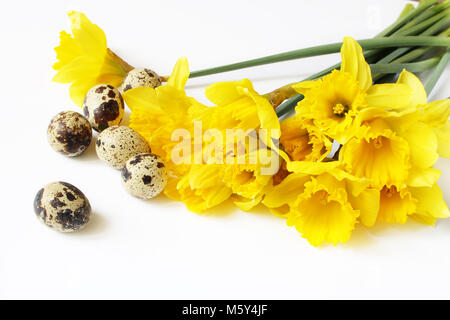 Pasqua, la molla bigliettino, invito con uova di quaglia e Yellow Daffodils, fiori di narciso giacente sul tavolo bianco. Stile femminile stock photo, composizione floreale. Foto Stock
