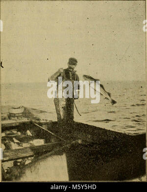 " Il turista guida a Nantucket e al Vigneto di Martha" (1902) Foto Stock