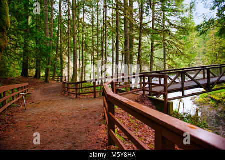 Vista del ponte sul fiume inglese Falls cascate superiore sezione situato nell isola di Vancouver, BC Canada Foto Stock