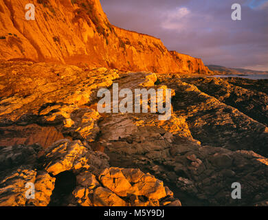 Sunset, scolpito Beach, Point Reyes National Seashore, Marin County, California Foto Stock