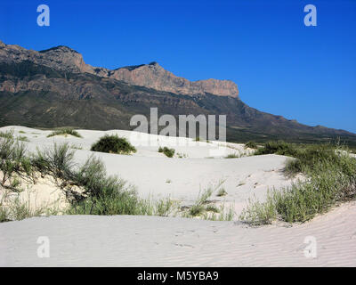 Sale dune del bacino. Foto Stock