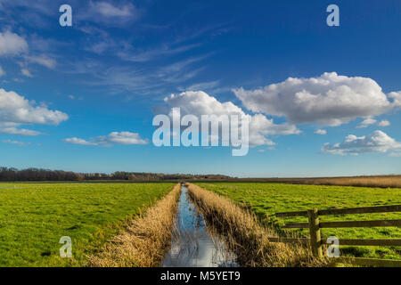 Vista attraverso le terre piane in Norfolk Broads. Foto Stock