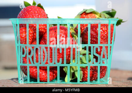 Fragole fresche in un verde cesto in plastica mercato "PRODOTTO NEGLI STATI UNITI D' AMERICA" in California, Stati Uniti d'America Foto Stock