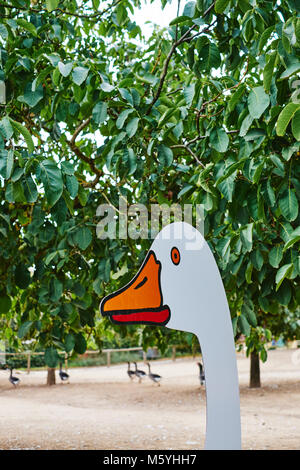 Oche addomesticati animali su un Foie Gras francese farm in Dordogne Francia Foto Stock