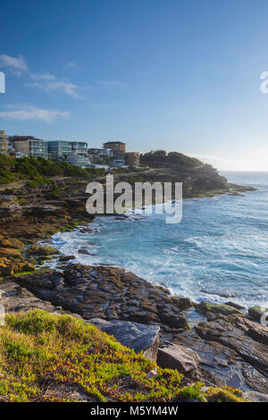 Costa di Bondi a Bronte a piedi, Sydney, Nuovo Galles del Sud, Australia Foto Stock