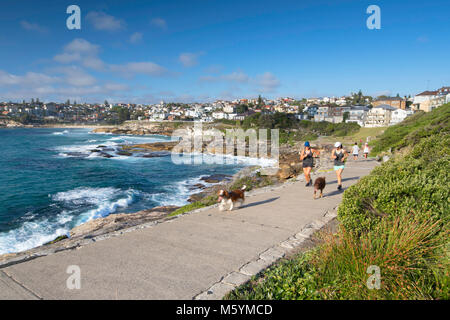 Persone fare jogging lungo Bondi a Bronte a piedi, Sydney, Nuovo Galles del Sud, Australia Foto Stock