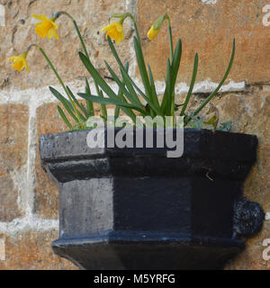 Le viste di dettaglio della Crewkerne, Somerset, Regno Unito al fine di inverno Foto Stock