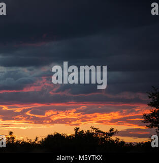 Tramonto spettacolare Sky Foto Stock