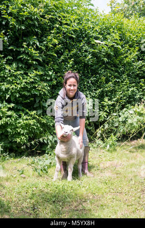 Un giovane agricoltore femmina guarda dopo e feed mentre posa con alcuni agnelli crescente in un campo per la sua azienda. Foto Stock