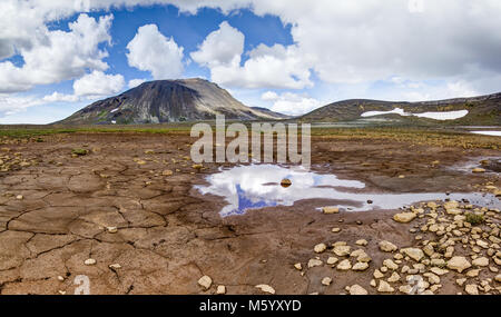 Massa Patternd con crepe di fango in primordiale bellissimo paesaggio islandese. L'Islanda Foto Stock
