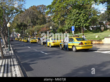 Funchal Tassisti spingendo il loro colore giallo brillante cabs in avanti nella coda Foto Stock