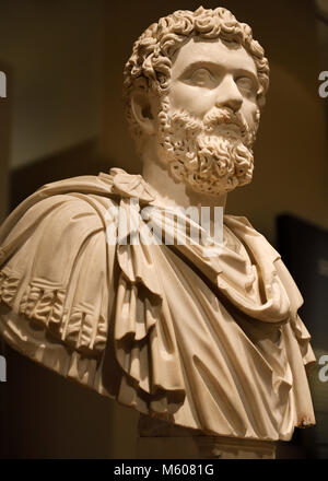 La scultura in marmo Busto di imperatore Setpimius Severus ANNUNCIO 193-211 Roma con capelli ricci Foto Stock