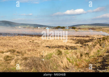 Gorse Fire' isola Valentia Contea di Kerry Irlanda Foto Stock