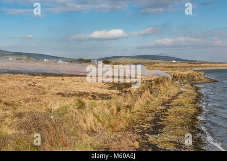 Gorse Fire' isola Valentia Contea di Kerry Irlanda Foto Stock