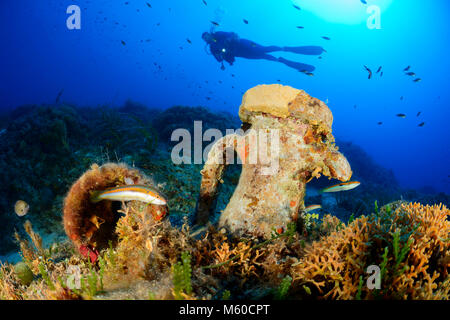 Mediterraneo Coral reef con anfora e subacqueo scuba diver. Mare Adriatico, Mare mediterraneo, isola di Lastovo, Dalmazia, Croazia, Signor sì Foto Stock