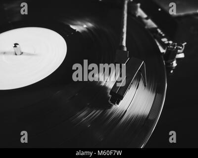 Fono capsula o testa di lettura di un giradischi LP filatura. Chiusura del giradischi stilo vinile andando verso il basso. Riproduzione di inizio di un nero 33 rpm reco Foto Stock