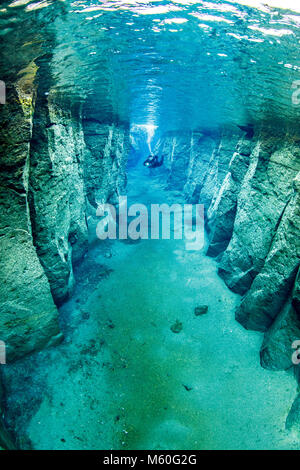 Scuba diving in vulcanica Nesgja Crack, Asbyrgi National Park, Islanda Foto Stock