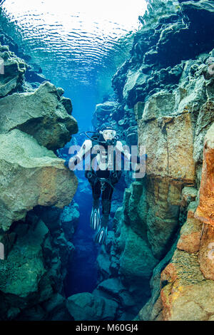 Scuba diving in Silfra fessura, Thingvellir National Park, Islanda Foto Stock