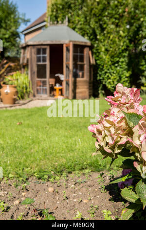 Tettoia da giardino con finestre di vetro nel giardino inglese sulla giornata di sole Foto Stock