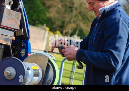 Maniscalco Allen Ferrie montaggio di nuove cavalcate per undici anni cavallo clydesdale Spencer che si erge a diciotto mani alta, in Pollok Country Park Foto Stock