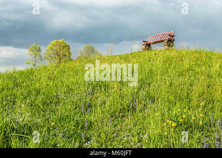 Lone e panca vuota su una collina verde Primavera prato con fiori, Svizzera Foto Stock