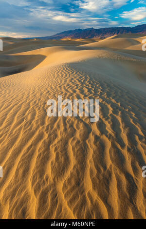 Mesquite Dunes, Parco Nazionale della Valle della Morte, California Foto Stock