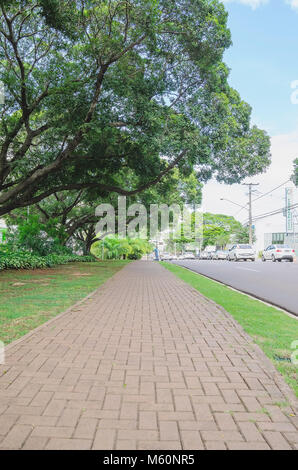 Campo Grande, Brasile - 24 Febbraio 2018: marciapiede per i pedoni con grandi alberi e la strada con le automobili sull'altro lato. Afonso Pena avenue, th Foto Stock