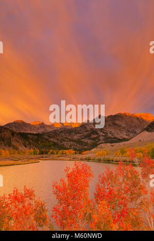 Sunrise, Aspen, Piute dirupi, North Lake, Vescovo Creek National Recreation Area, Inyo National Forest, Sierra orientale, California Foto Stock