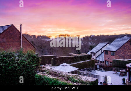 Swansea, Wales, Regno Unito. 27 feb 2018. Regno Unito: Meteo Suburbia back giardini coperti di neve dalla bestia in Oriente, con una viva sunrise sopra le colline e alberi Credito: Sian Pearce Gordon/Alamy Live News Foto Stock