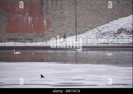 Cracovia in Polonia. Il 27 febbraio, 2018. Un uccello visto in un parzialmente congelati parte del fiume Vistola a Cracovia. Credito: Omarques 27022018  5 .jpg/SOPA Immagini/ZUMA filo/Alamy Live News Foto Stock