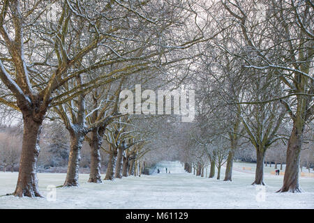 Windsor, Regno Unito. Il 27 febbraio, 2018. Un tardo pomeriggio nevicata in Windsor Great Park. Credito: Mark Kerrison/Alamy Live News
