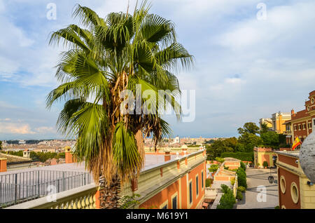 Palm Tree e i tetti di Roma sulla giornata di sole Foto Stock